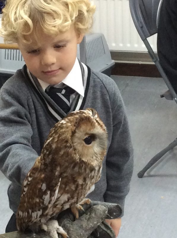 Pre-Prep Leatherhead Reception enjoy a visit from some owls!