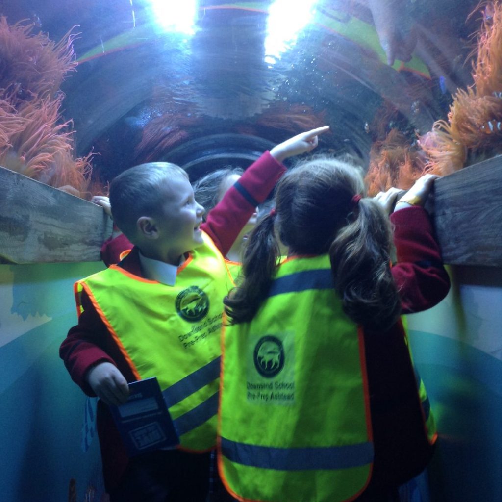 Ashtead pupils visit the aqauarium